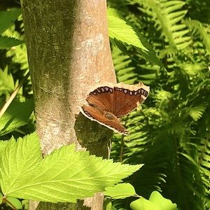 Meet your Posher, Zoe